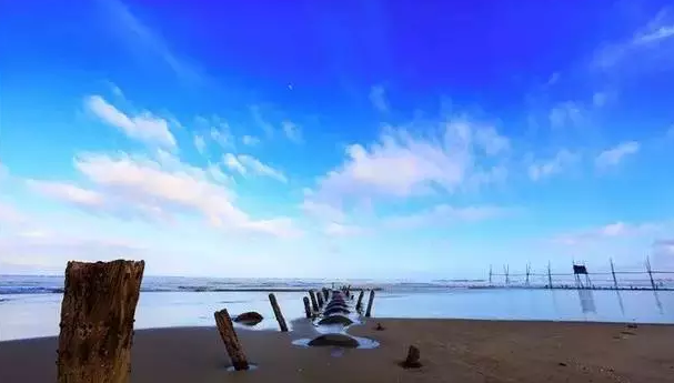 汇鱼、近米jmeet-厦门6.png