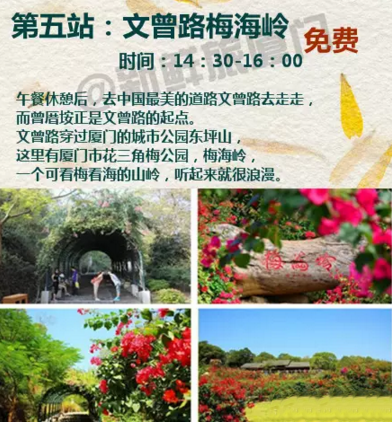 汇鱼、近米jmeet-厦门5.png